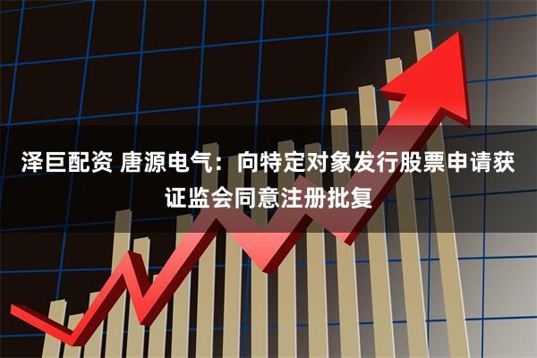 泽巨配资 唐源电气：向特定对象发行股票申请获证监会同意注册批复