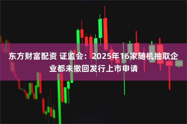 东方财富配资 证监会：2025年16家随机抽取企业都未撤回发行上市申请