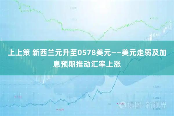 上上策 新西兰元升至0578美元——美元走弱及加息预期推动汇率上涨