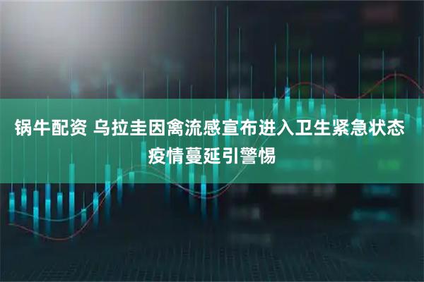 锅牛配资 乌拉圭因禽流感宣布进入卫生紧急状态 疫情蔓延引警惕