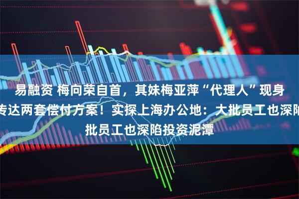 易融资 梅向荣自首，其妹梅亚萍“代理人”现身接待点，传达两套偿付方案！实探上海办公地：大批员工也深陷投资泥潭