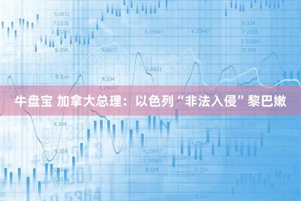 牛盘宝 加拿大总理：以色列“非法入侵”黎巴嫩